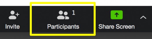 manage participants Zoom icon