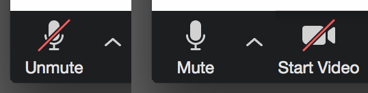 Zoom icons showing mute function